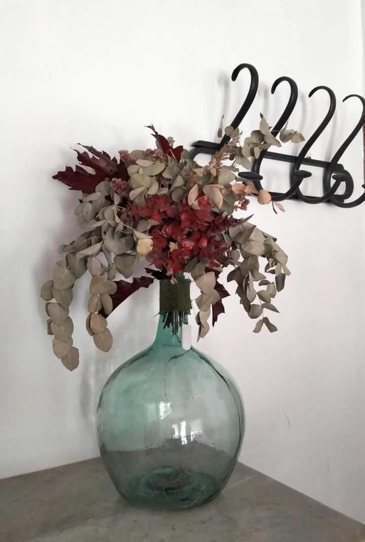 Hostal Los Aromas Βιγιένα Εξωτερικό φωτογραφία